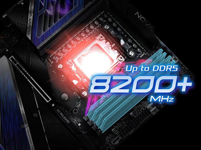 DDR5 XMP & EXPO Support